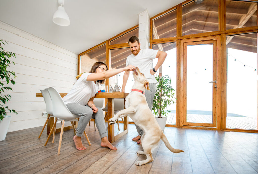 Discovering Life in Parkwest: Albemarle’s Welcoming and Convenient Neighborhood